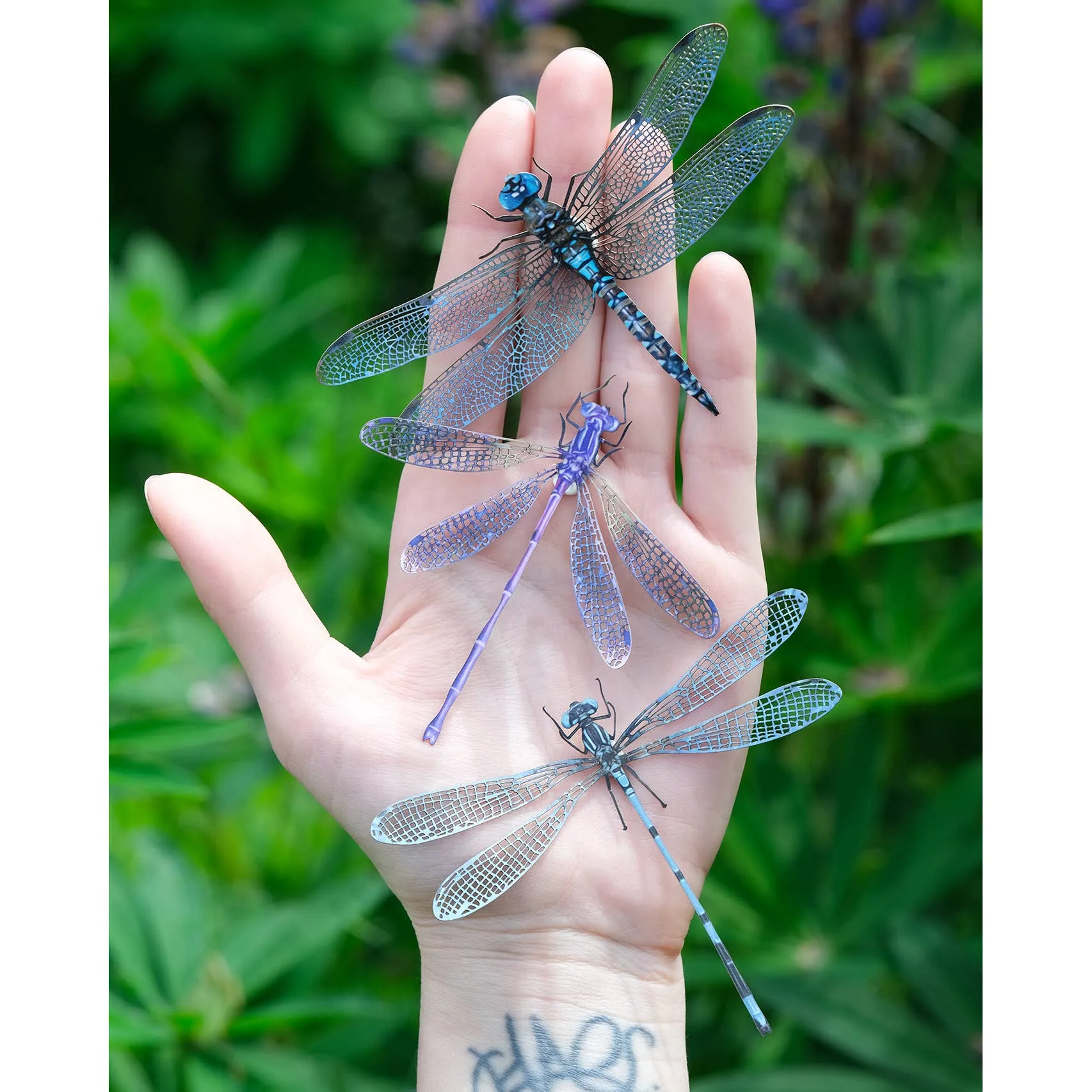 Aerial Dragonfly 3pc  Laser Cut Specimens