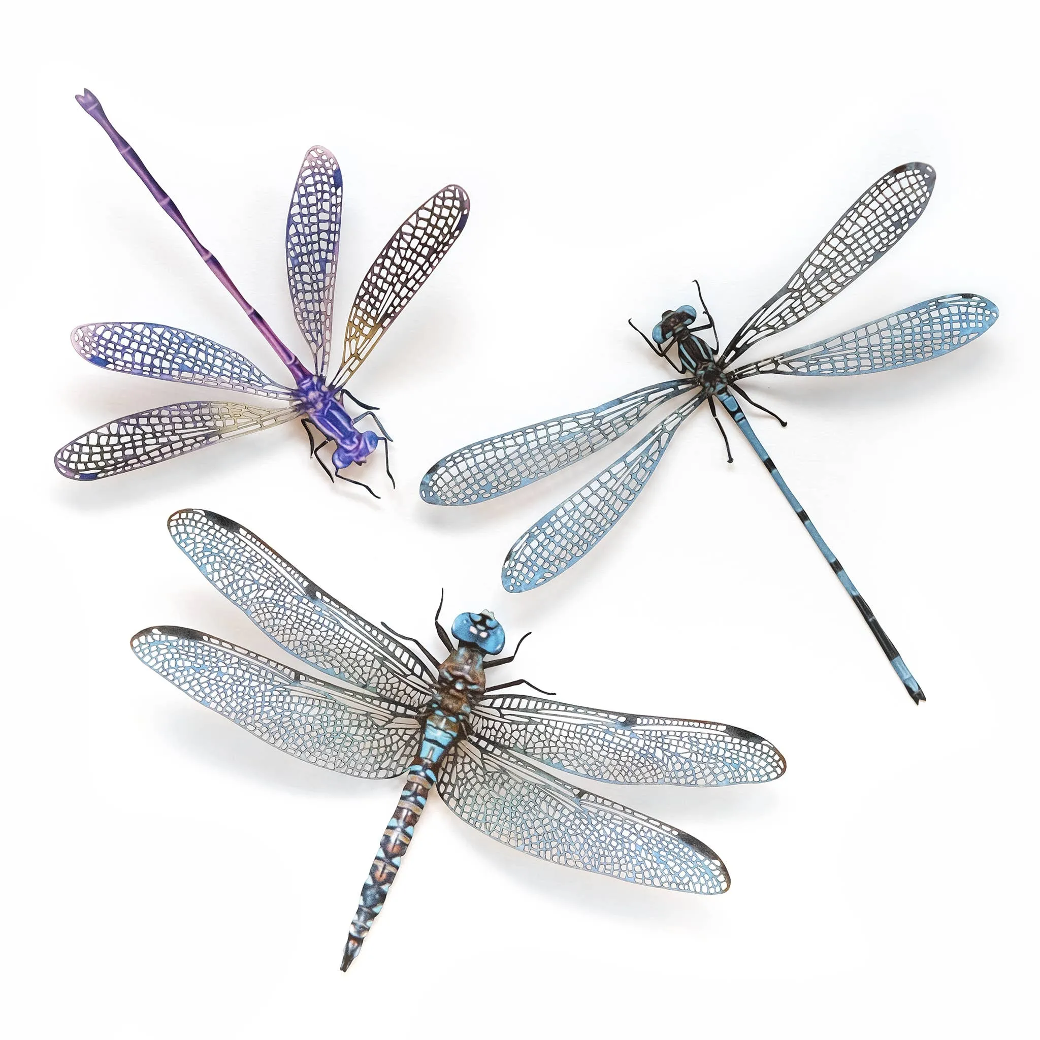 Aerial Dragonfly 3pc  Laser Cut Specimens